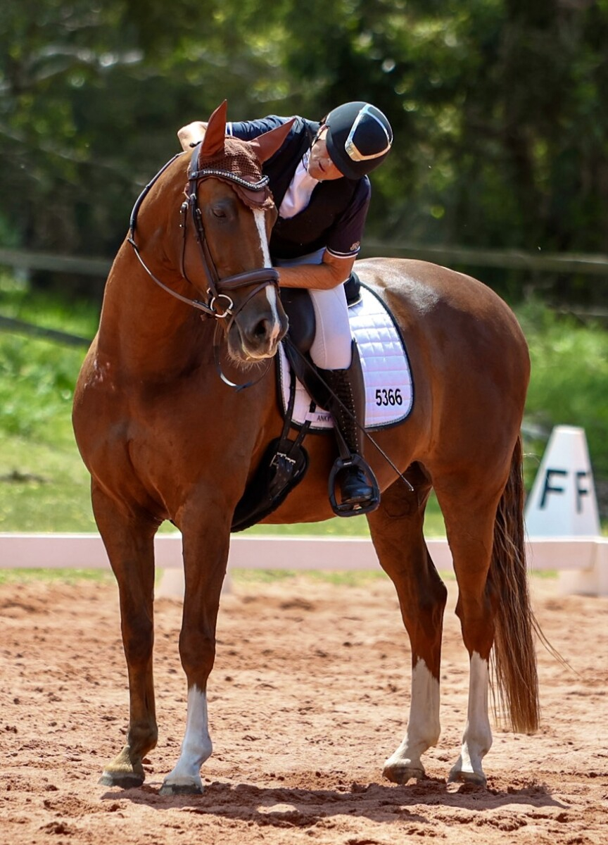 Magnificent Chestnut Dream Horse.
