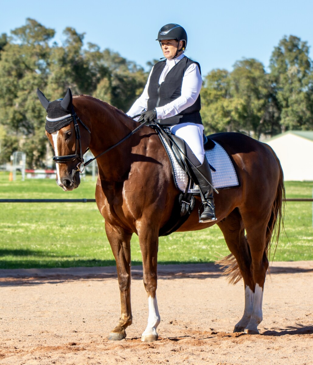 Magnificent Chestnut Dream Horse.