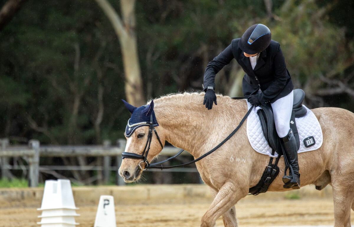 Explore a fresh connection with your horse.