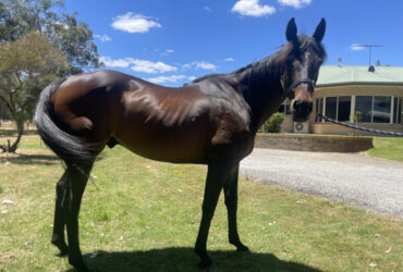 The prettiest boy at the club !