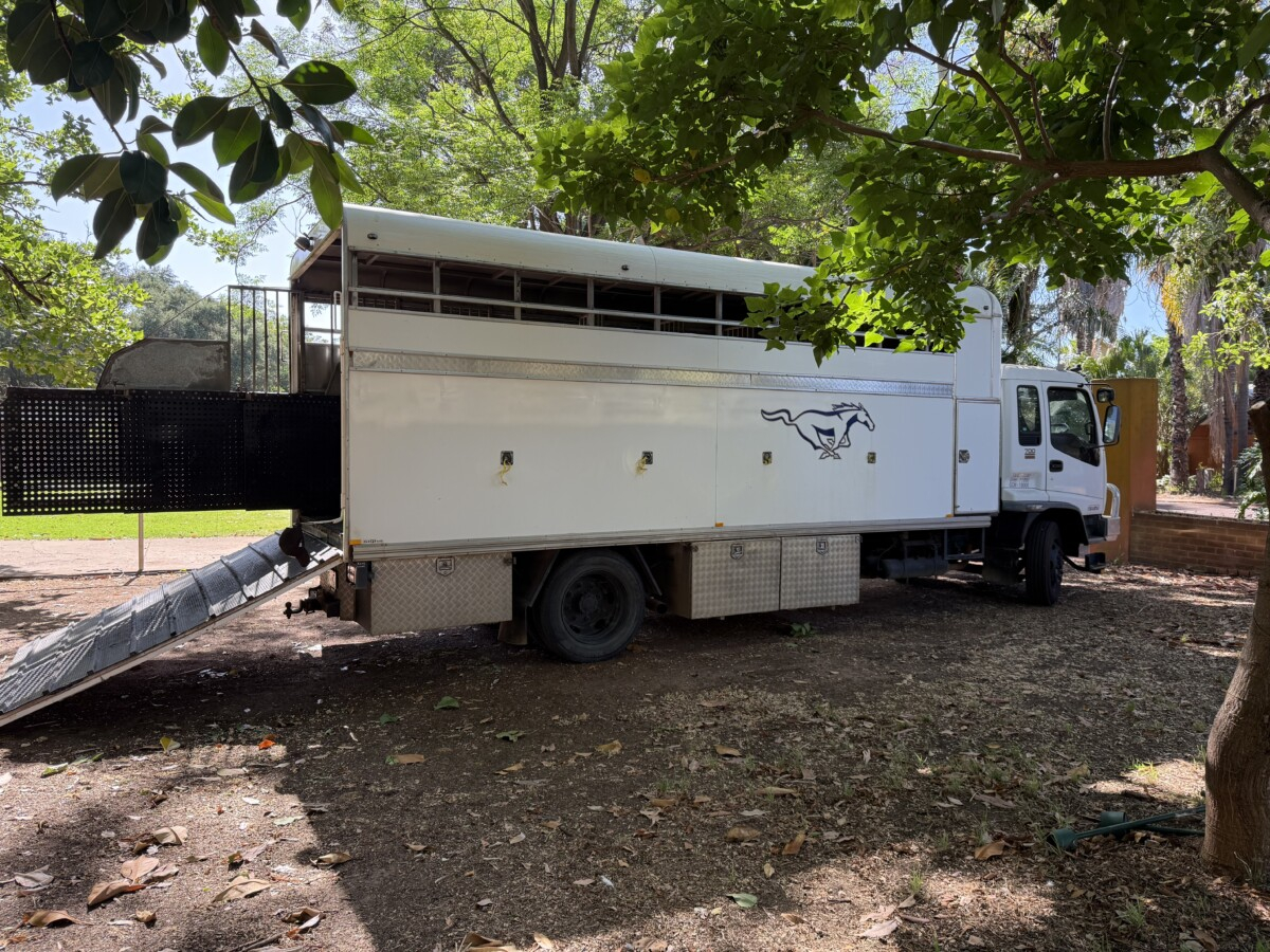 Horse Truck Isuzu 2003