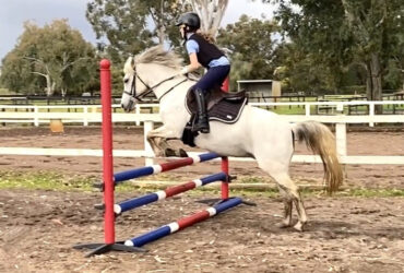 Horse riding coach position available Jan 2026