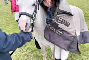 Welsh A mare so much to offer!!