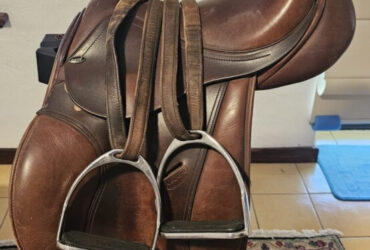 Ascot General Purpose saddle