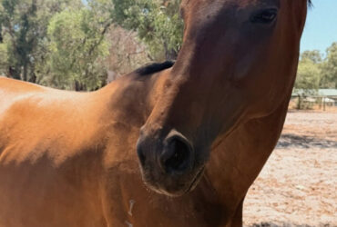 Beautiful big hearted boy