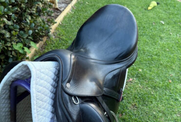 Equipe Olympia Dressage Saddle