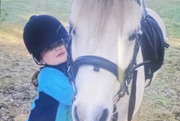 Stunning deadline pony