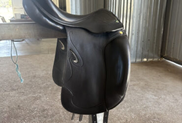 Prestige passion dressage