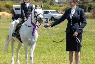 Stunning leadline pony