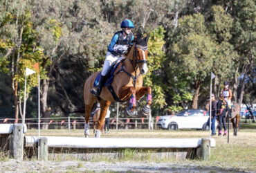 Beautiful future eventer prospect