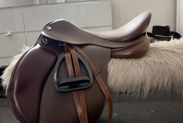Collegiate AP Saddle