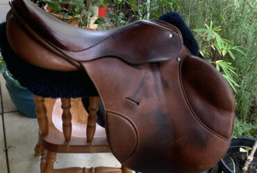 17.5 Passier Eventing Saddle
