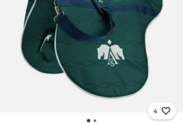Arena GP 17” High Whither Saddle