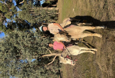 Two Very Special Children’s Welsh Ponies