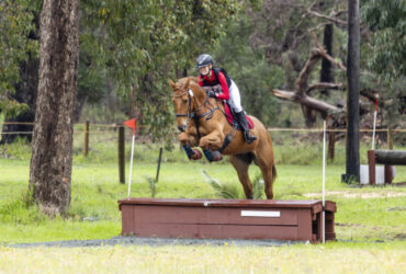 Sweet Irish sport with potential