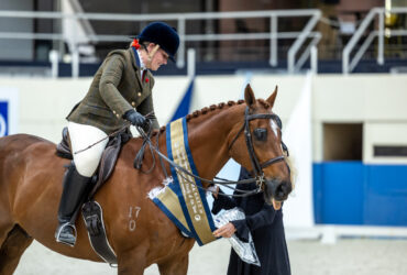 Quiet OTT gelding