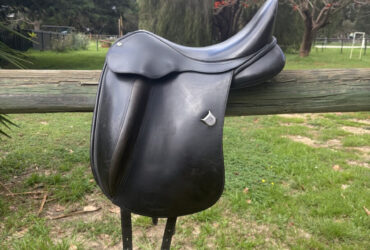 Bates Innova dressage black 17 inch