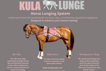 Kula Lunge Training System